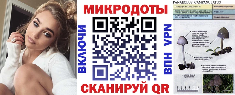 Галлюциногенные грибы Magic Shrooms  Закаменск 